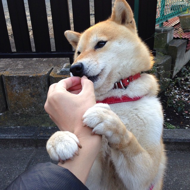 九游官网-全国青少年“篮球启蒙月”活动在全国范围内持续火热，普及运动文化